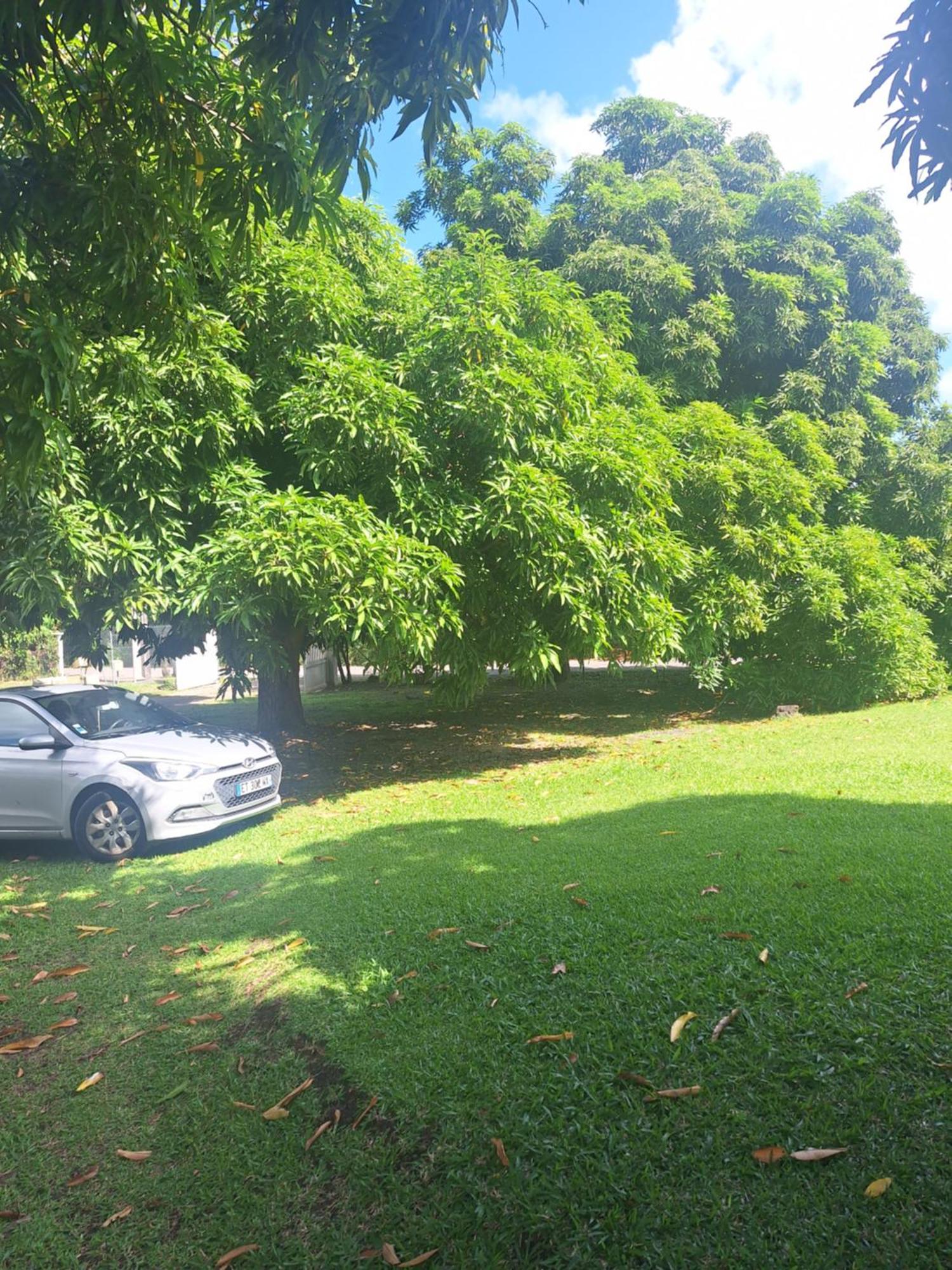 Villa Kikine Le Diamant Bagian luar foto
